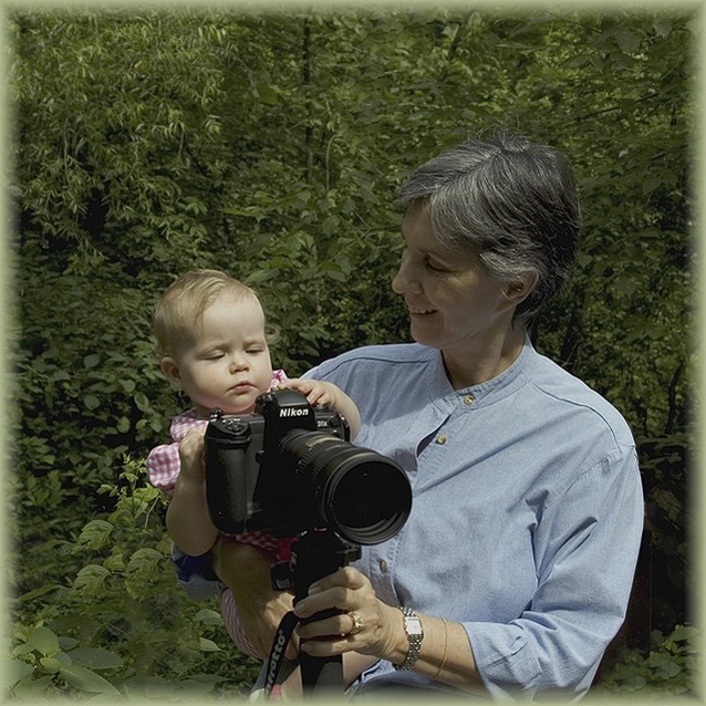 Maureen Pulignano