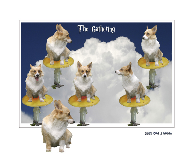 the gathering