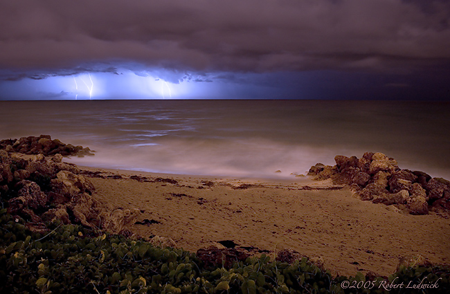 Florida Lightning