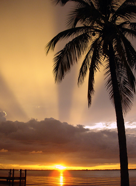 WC#191 Cape Coral Sunbeams