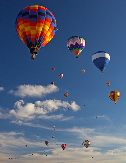 Balloon Fest