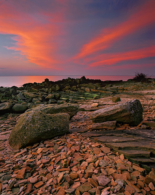 Shepherds delight