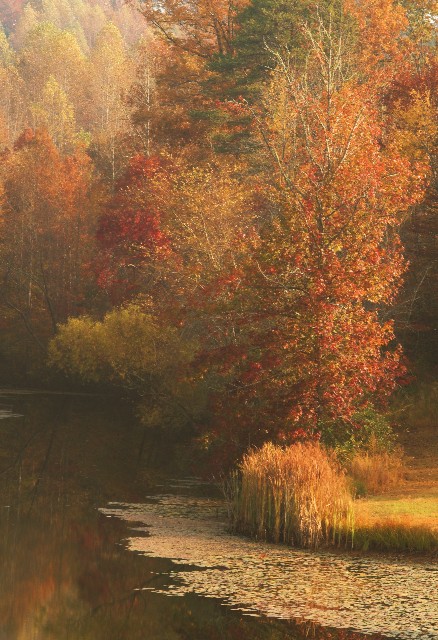 Color At Willow Lake