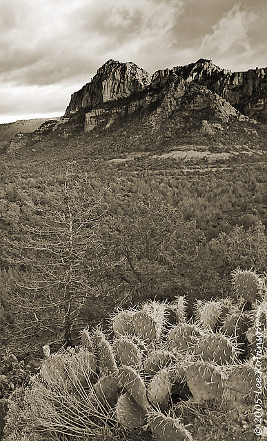 Secret Mountain