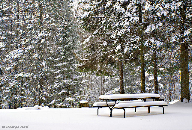 Picnic Anyone?  w/ B&W version