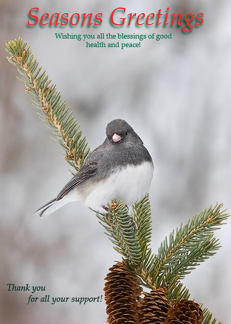 WC #207 Seasons Greetings