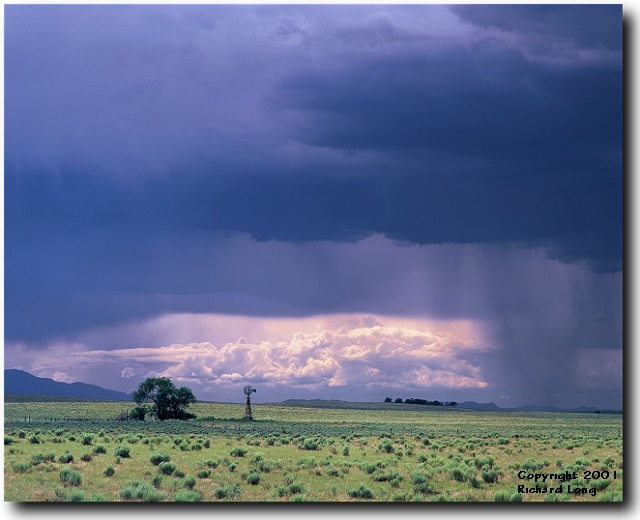 Summer storm