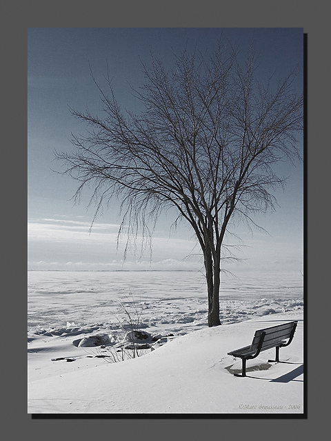 WC#211 Solitude