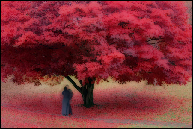 Autumn