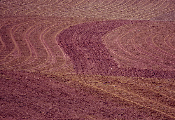 WC#112 Plowed field
