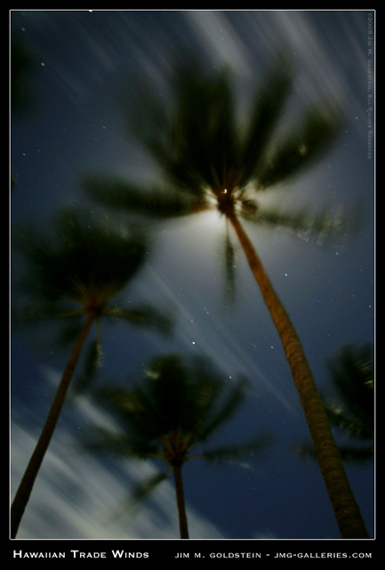 WC#221 -  Hawaiian Trade Winds