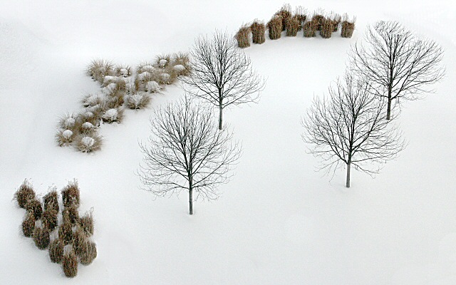 Winter garden