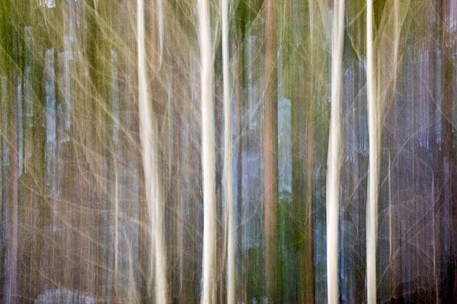 Aspen Abstract