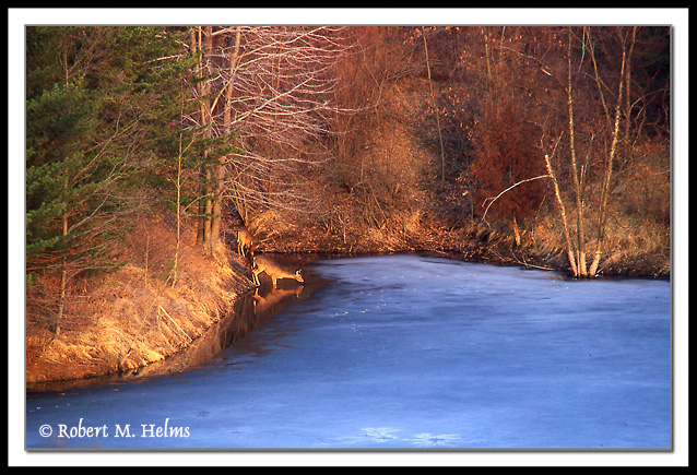 Winter's End