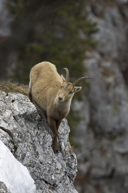 On the edge