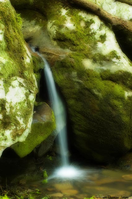 Palisade Rivulet