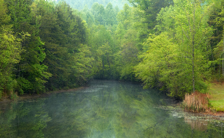 Spring At Willow Lake