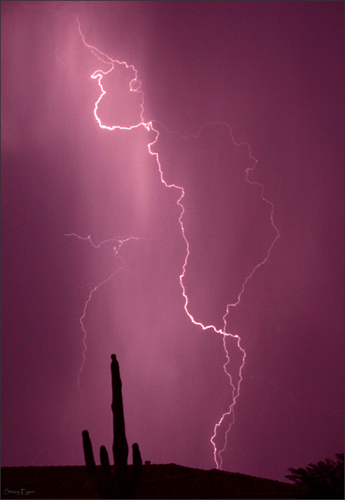 WC#229 Illumined Rain