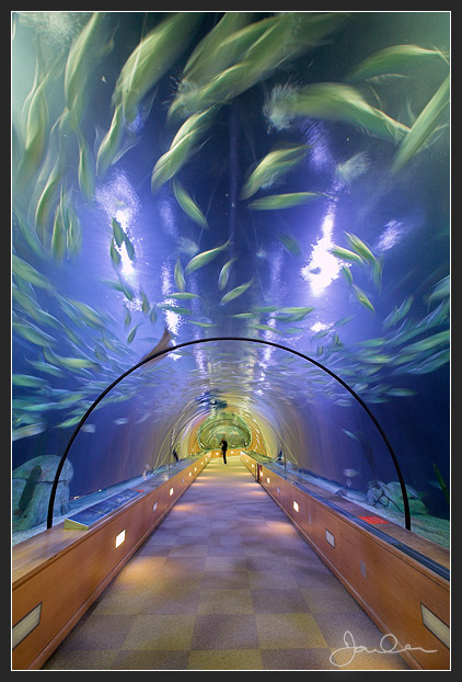 L'Oceanographic