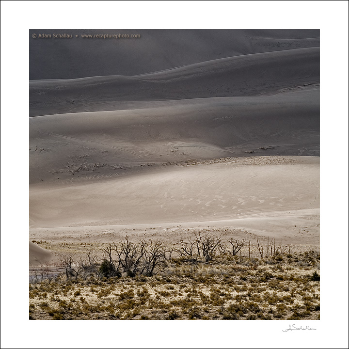 Desaturated Dunes