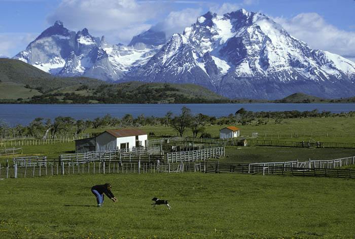 Patagonia
