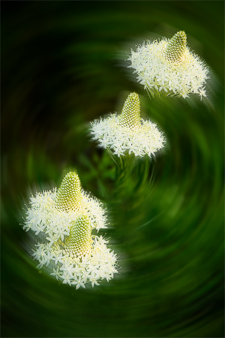 Spinning Stars