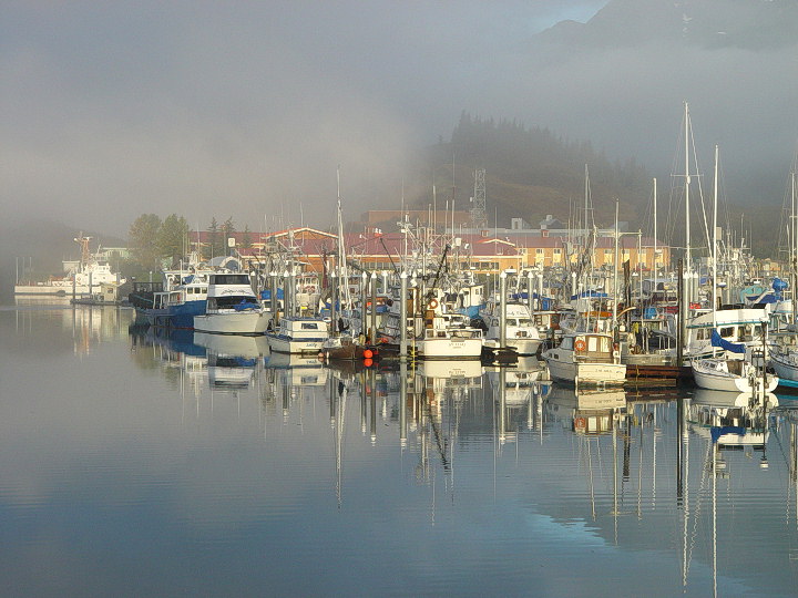 WC #239 -- Misty Harbor Morning