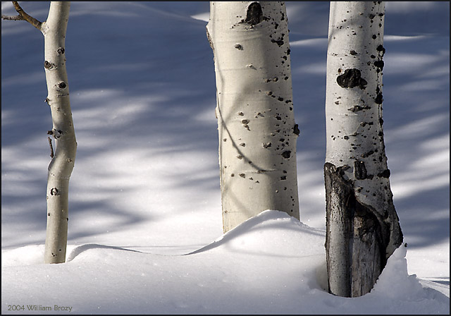A Shadowy Threesome
