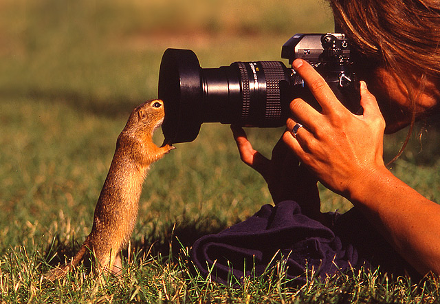 "I wanna be on NPN!!!"
