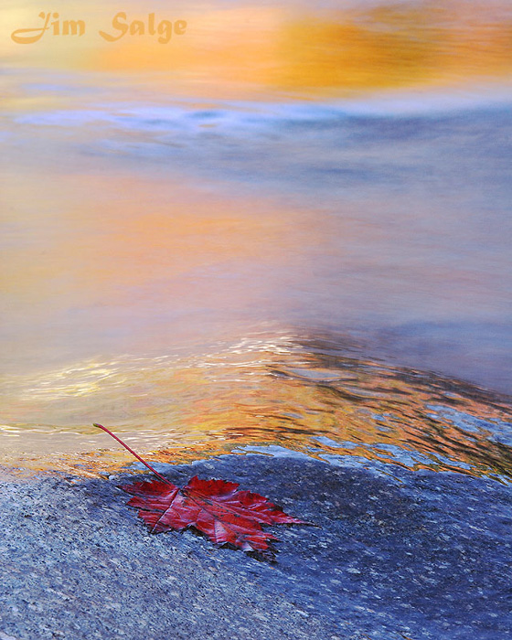 WC #250  Diffuse Reflections