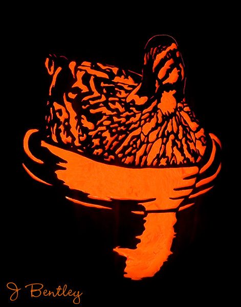 Duck in a Pumpkin