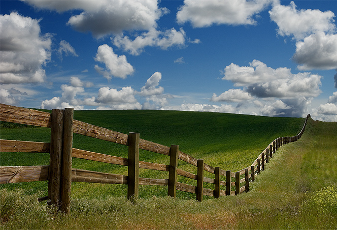Dreamy Day