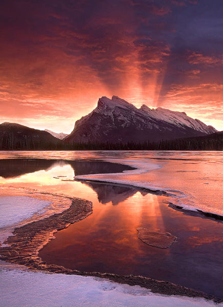 Visit my website to see this image.
