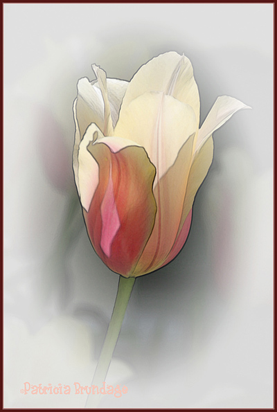 Spring Tulip with Repost