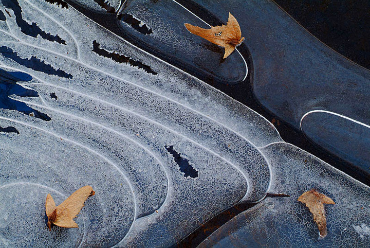 Frozen In Time