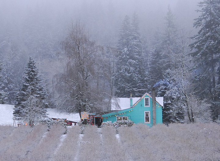 Light Snow, Warm Fire
