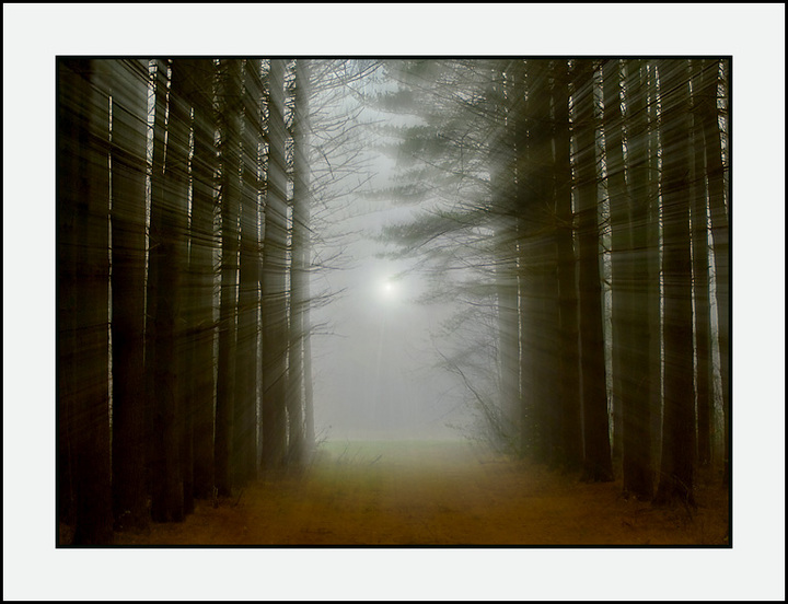 The Light