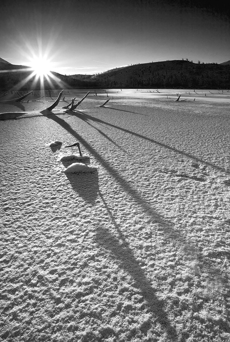 WC-261 Long Shadows
