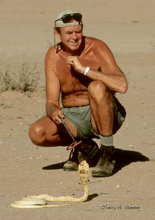 Terry & Cape Cobra