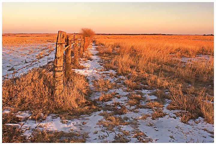 WC #265 - Winter Stubble Field