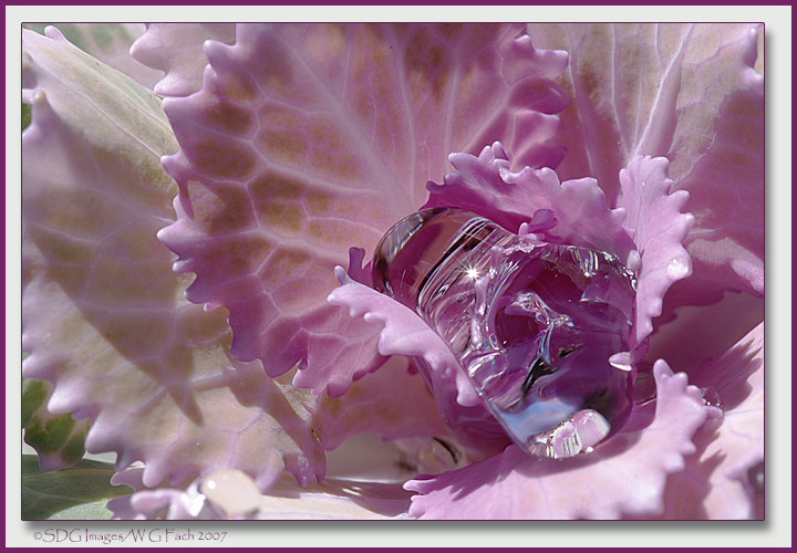 Bejeweled