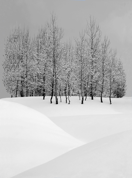 A Study in Black and White