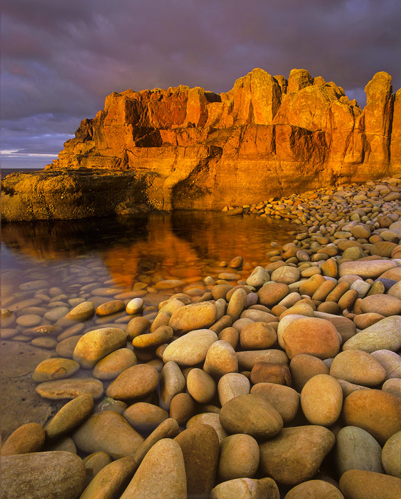Golden Cove