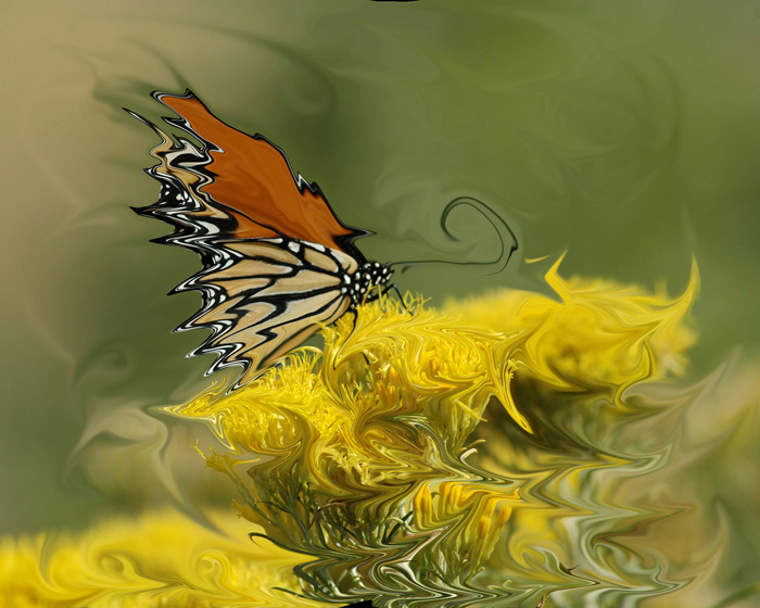 Impressions of Summer