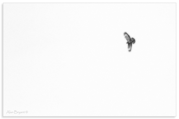 Dreaming of flying