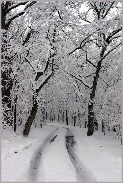 Winters Last Gasp