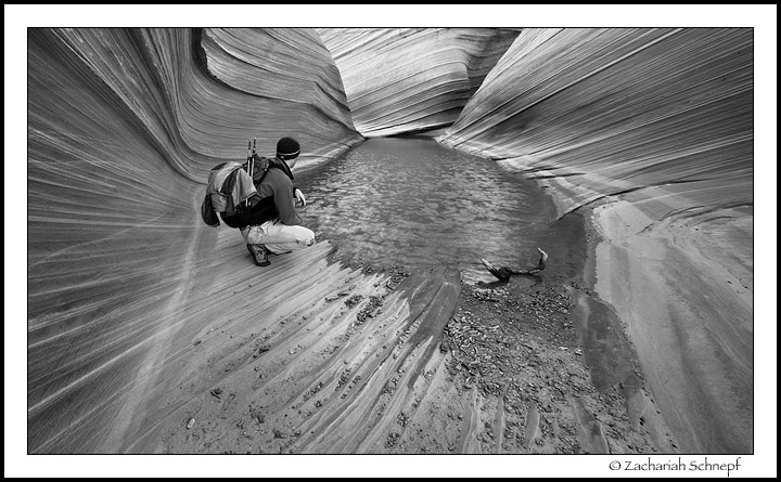 Morning Contemplation at the Wave