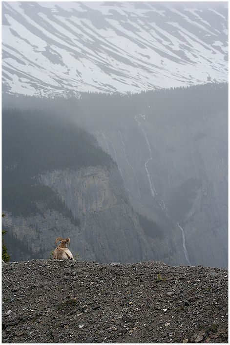 Surveying his Domain