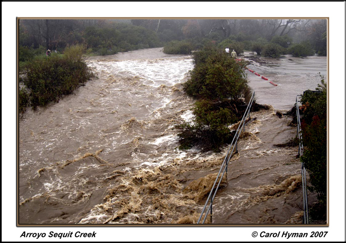 WC #285 - Arroyo Sequit Creek