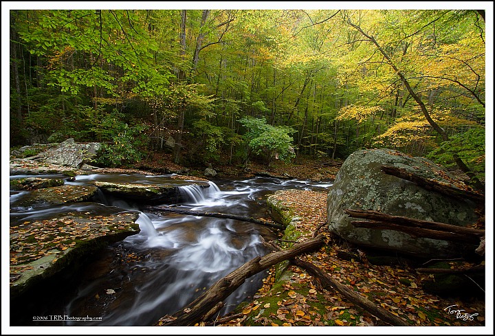 WC#288 Autumn on Little Stoney